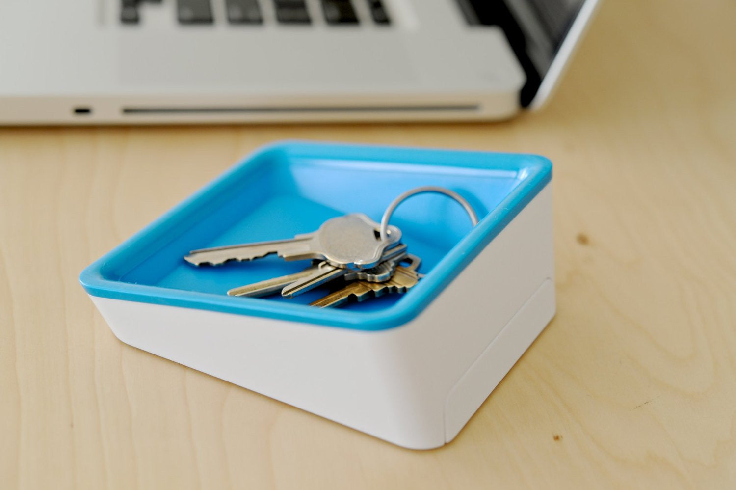 Bluelounge Nest Stand - Premium Laptop & Tablet Holder for Home & Office - Organize Your Workspace with Stylish Cable Management