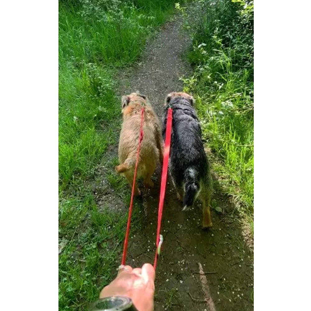 Switchbak Dog Leash - Retractable, Heavy Duty, Hands-Free Dog Walking Leash for Small, Medium & Large Dogs - Perfect for Running, Hiking & Outdoor Adventures
