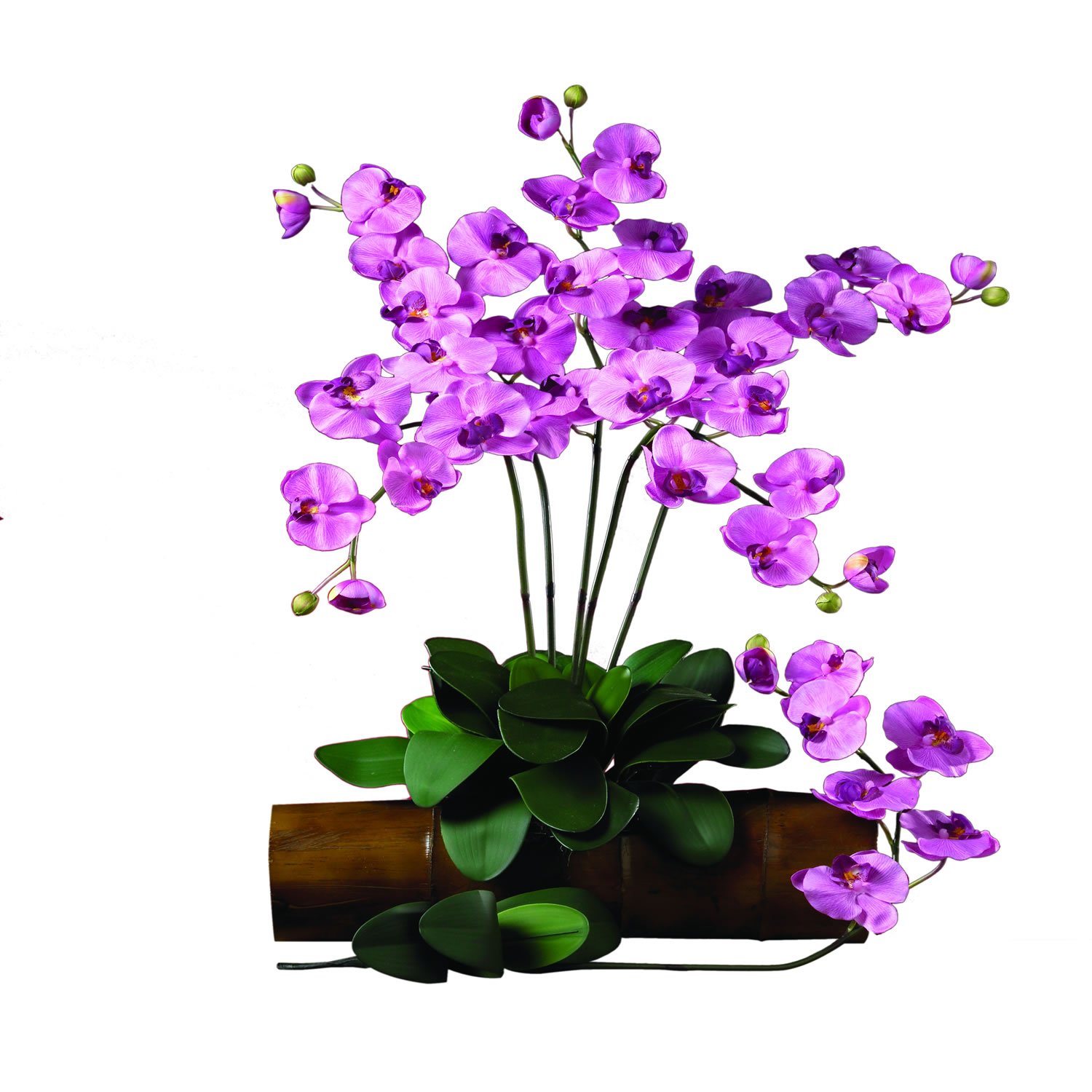Nearly Natural 2044-MA Artificial Phalaenopsis Orchid Stems, Mauve Color, Set of 12 - Perfect for Home Decor, Wedding Centerpieces, and Office Floral Arrangements