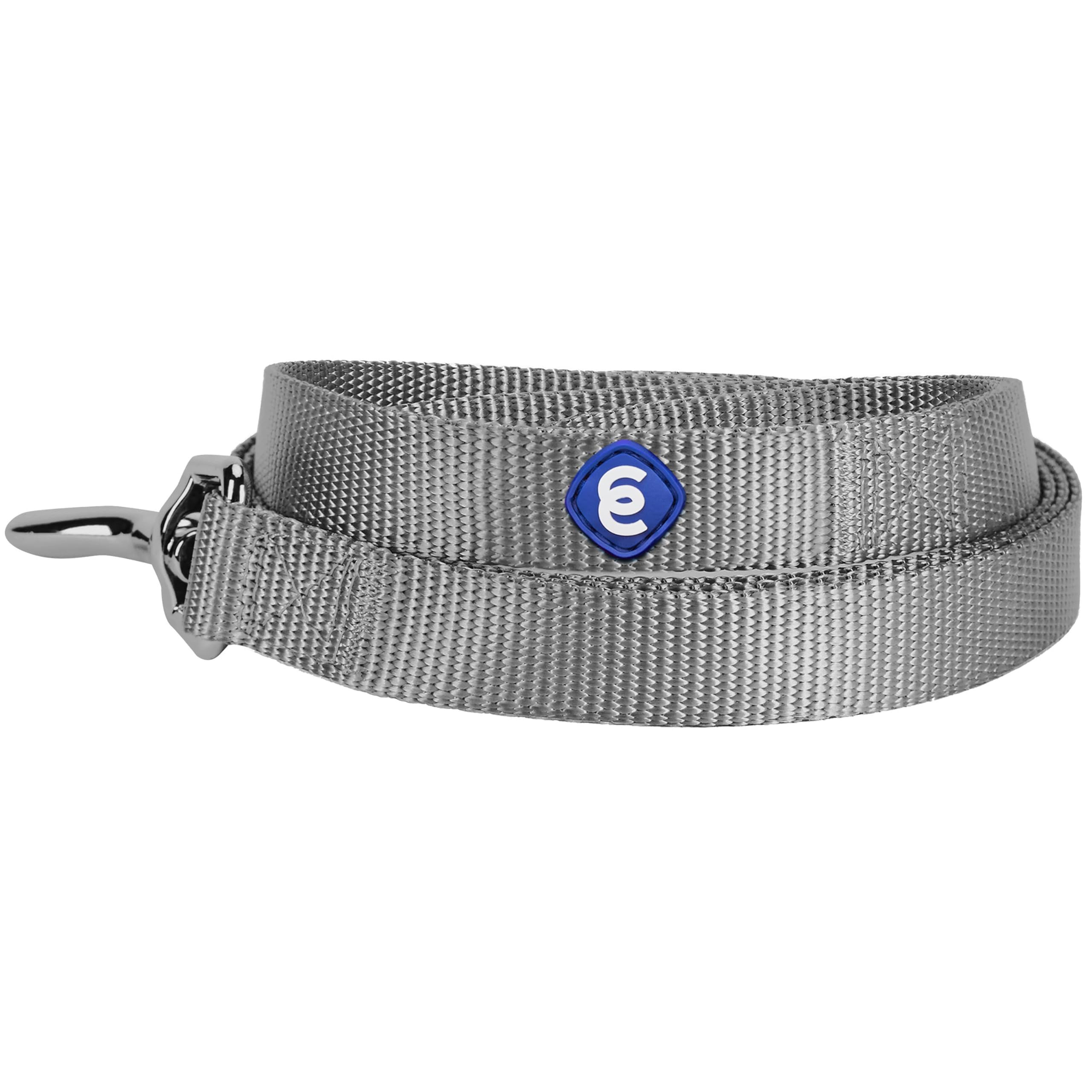 Premium Durable Nylon Dog Leash for Small Dogs - 5ft x 3/8