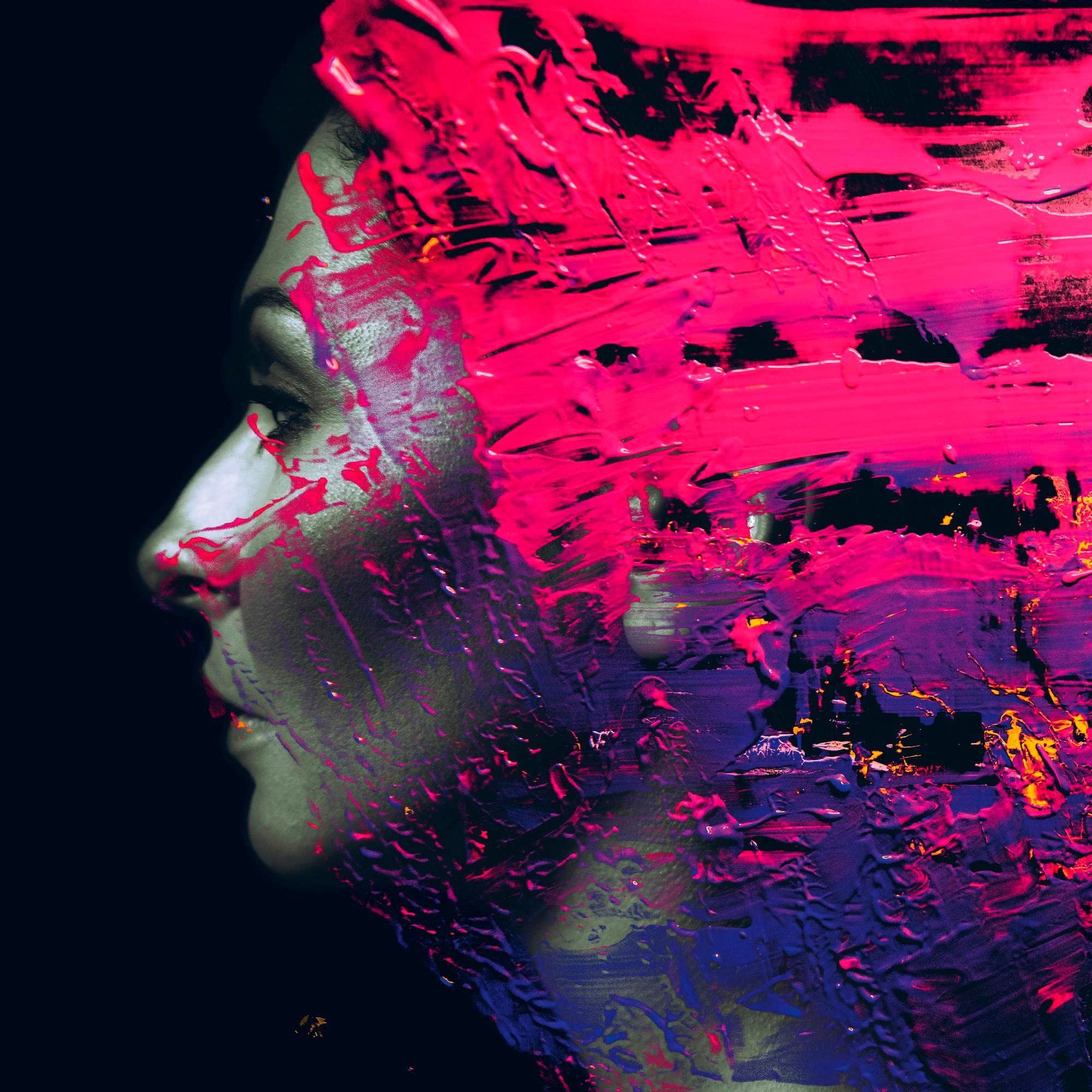 Hand.Cannot.Erase - Vinyl Record | Steven Wilson Progressive Rock Album | Perfect for Audiophiles & Music Collectors | Great for Home Listening, Gifts & Vinyl Collections