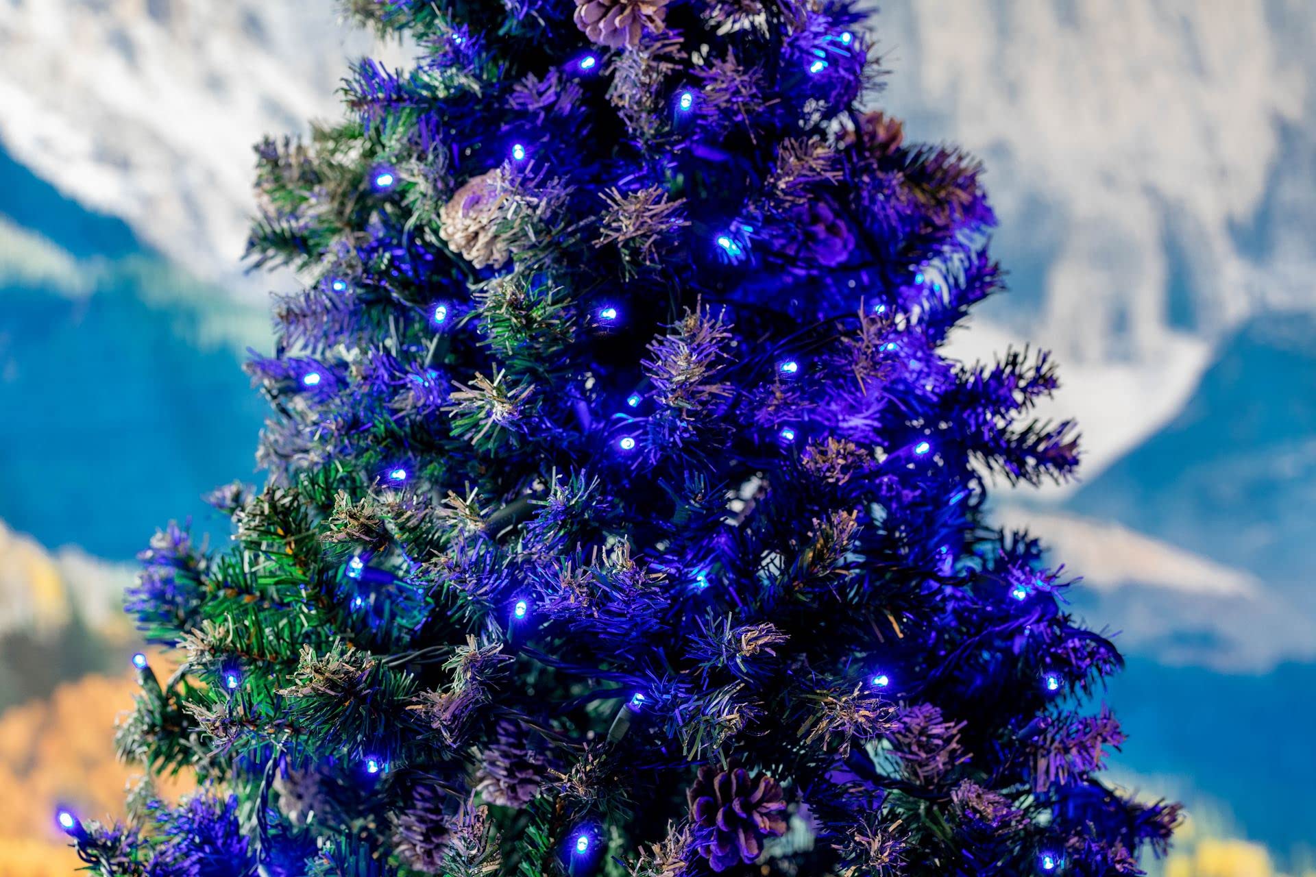 50 LED Christmas Mini Lights - Outdoor String Lights for Party, Patio, Garden (Blue & Green Wire, 11ft) | Perfect for Holiday Decorations, Backyard Events & Nighttime Ambiance
