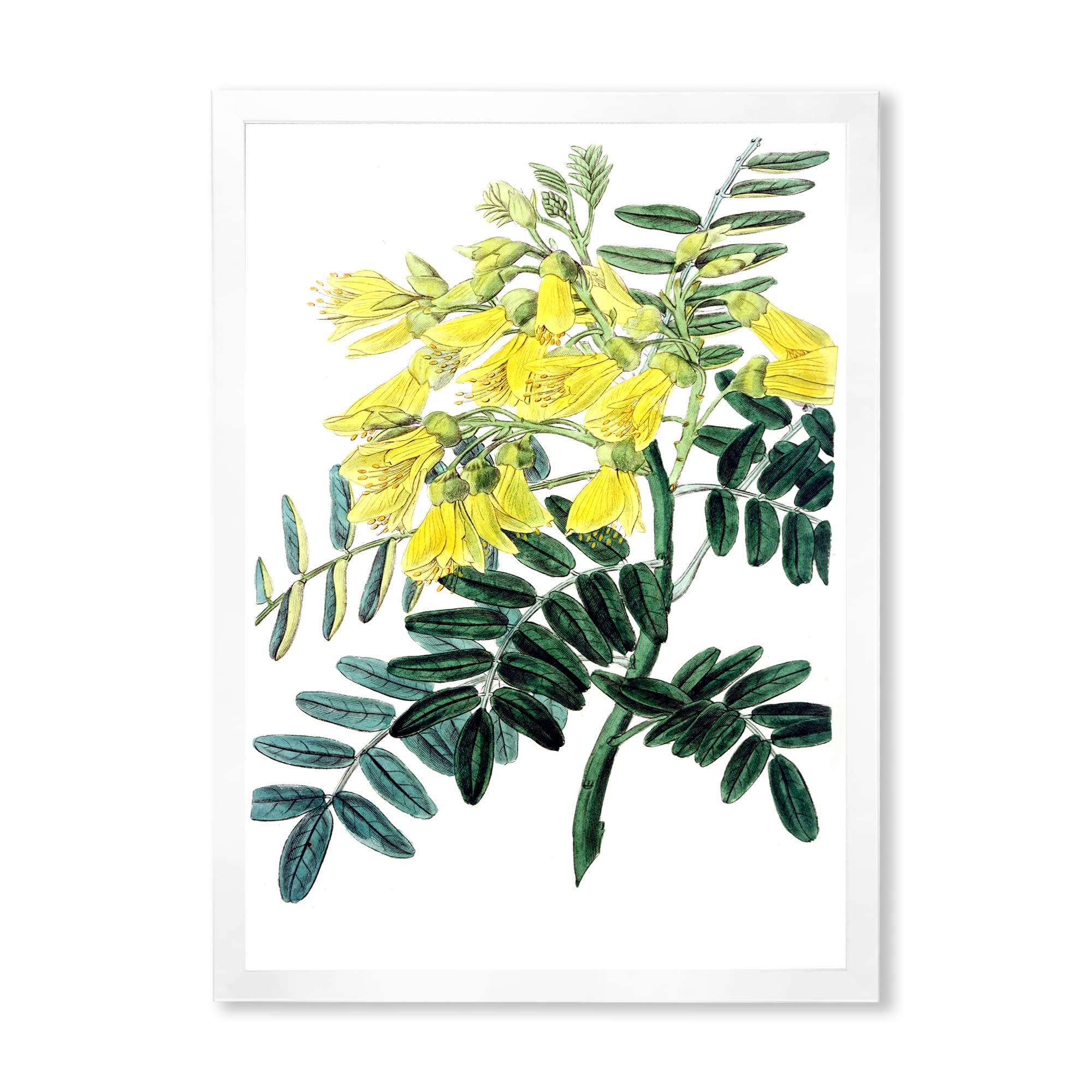 Vintage Yellow Floral II Traditional Framed Wall Art - Classic Home Decor for Living Room, Bedroom & Office - Perfect Gift for Housewarming & Wedding