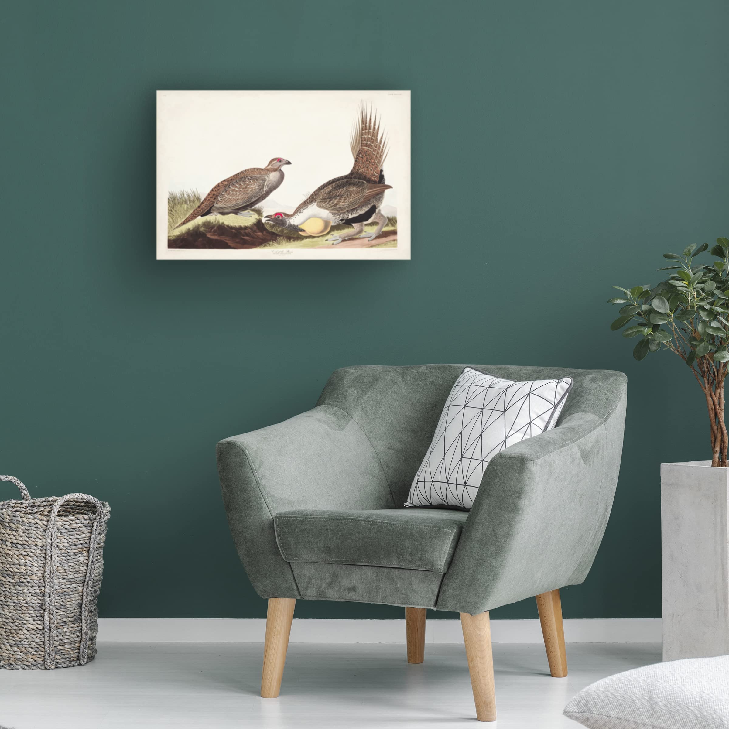 John James Audubon 'Cock of the Plains' 16x24 Canvas Art Print - Premium Wildlife Wall Decor for Living Room, Office & Hunting Lodge