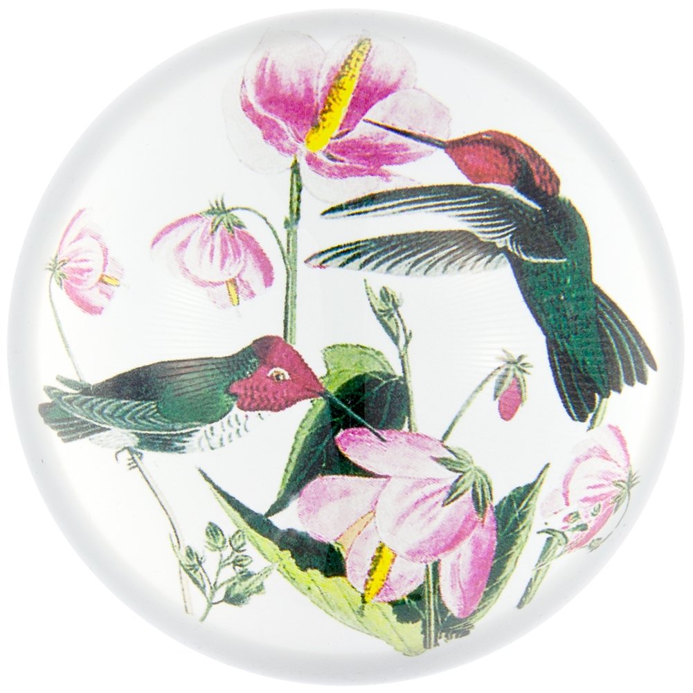Audubon Columbian Paperweight - Elegant Home & Office Desk Accessory for Books, Documents, and Stationery Organization | Perfect Gift for Writers & Collectors