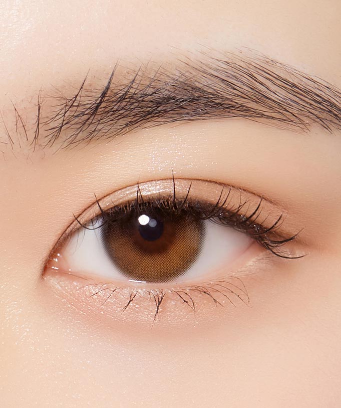 Daymood 1-Day Brown Contact Lenses (10 Pack) - Natural Looking MPC Lenses for Daily Wear, Comfort & Style - Perfect for Cosplay, Halloween & Everyday Fashion