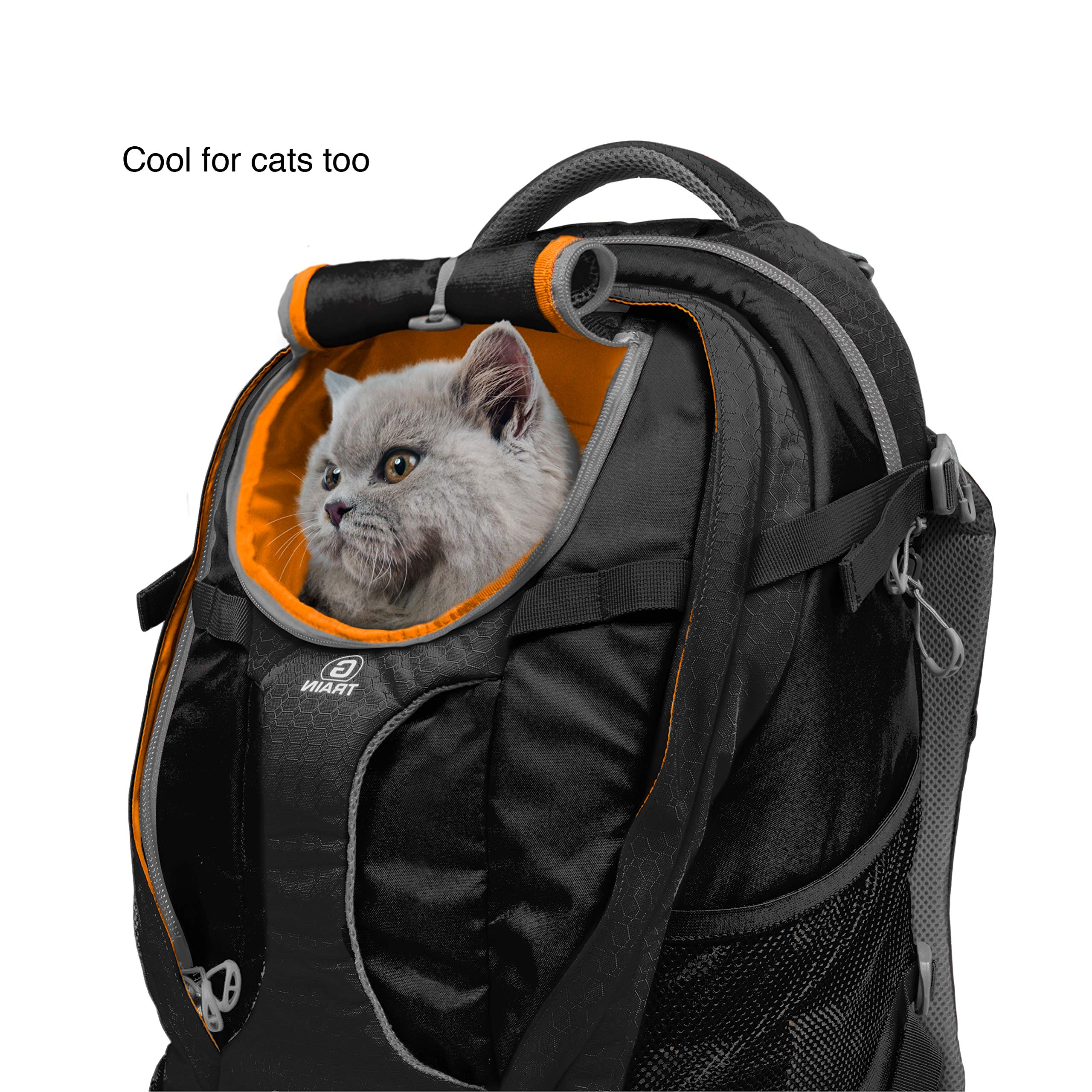 Kurgo G-Train Dog Carrier Backpack for Small Pets - Hiking, Camping & Travel Pet Carrier with Chest Straps & Hip Belt - Reflective, Waterproof Bottom & 2 Water Bottle Sleeves (Black) - Perfect for Outdoor Adventures, Air Travel & Daily Commutes