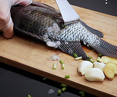 WOIWO Stainless Steel Fish Scale Scraper - Manual Multi-Purpose Tool for Scaling, Gill Cutting & Fish Cleaning - Perfect for Home Kitchen, Fishing Trips & Outdoor Cooking