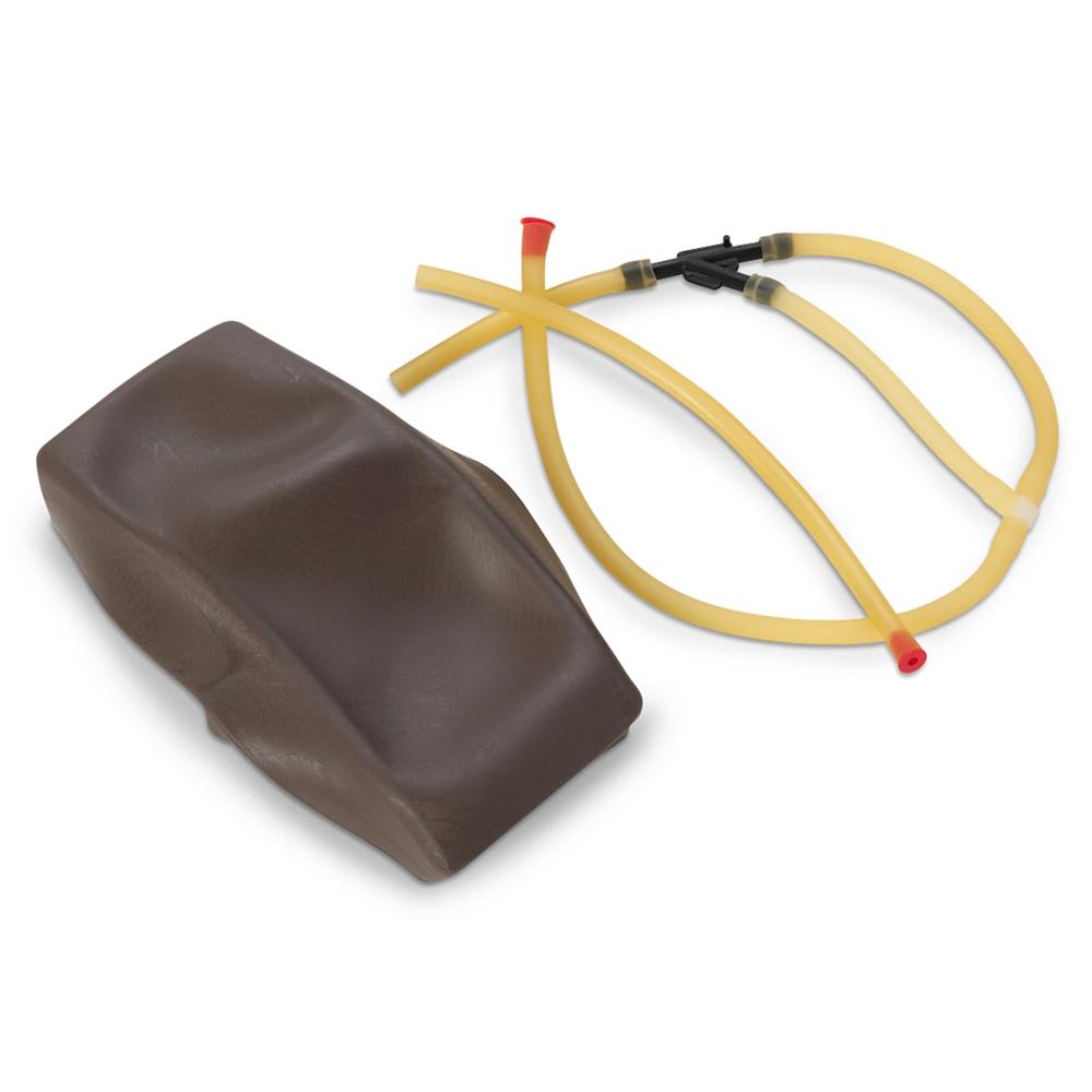 Dark Skin Vein and Artery Replacement Kit - Medical Training Model for Surgical Practice & Anatomy Study