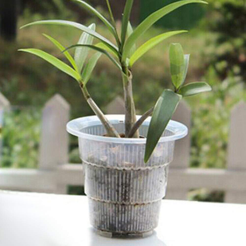 Breathable Root Control Pot with Tray - 10cm Transparent Flower Planter Basket for Succulents, Orchids & Indoor Plants | Perfect for Home Decor, Gardening & Hydroponics