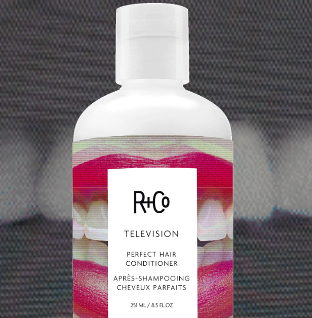 R+Co Television Perfect Hair Conditioner - Hydrating & Repairing for All Hair Types - Salon-Quality Hair Care for Smooth, Shiny Locks - Perfect for Daily Use & Damaged Hair Recovery