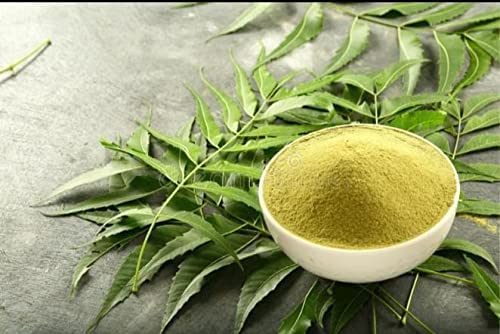 Organic Neem Powder Face Pack for Acne & Pimples - Clear Skin & Healthy Hair Treatment - 100% Pure & Natural - 100g (Pack of 1) | Best for Acne-Prone Skin, Oily Skin Care & Hair Growth | DIY Beauty Mask for Glowing Complexion