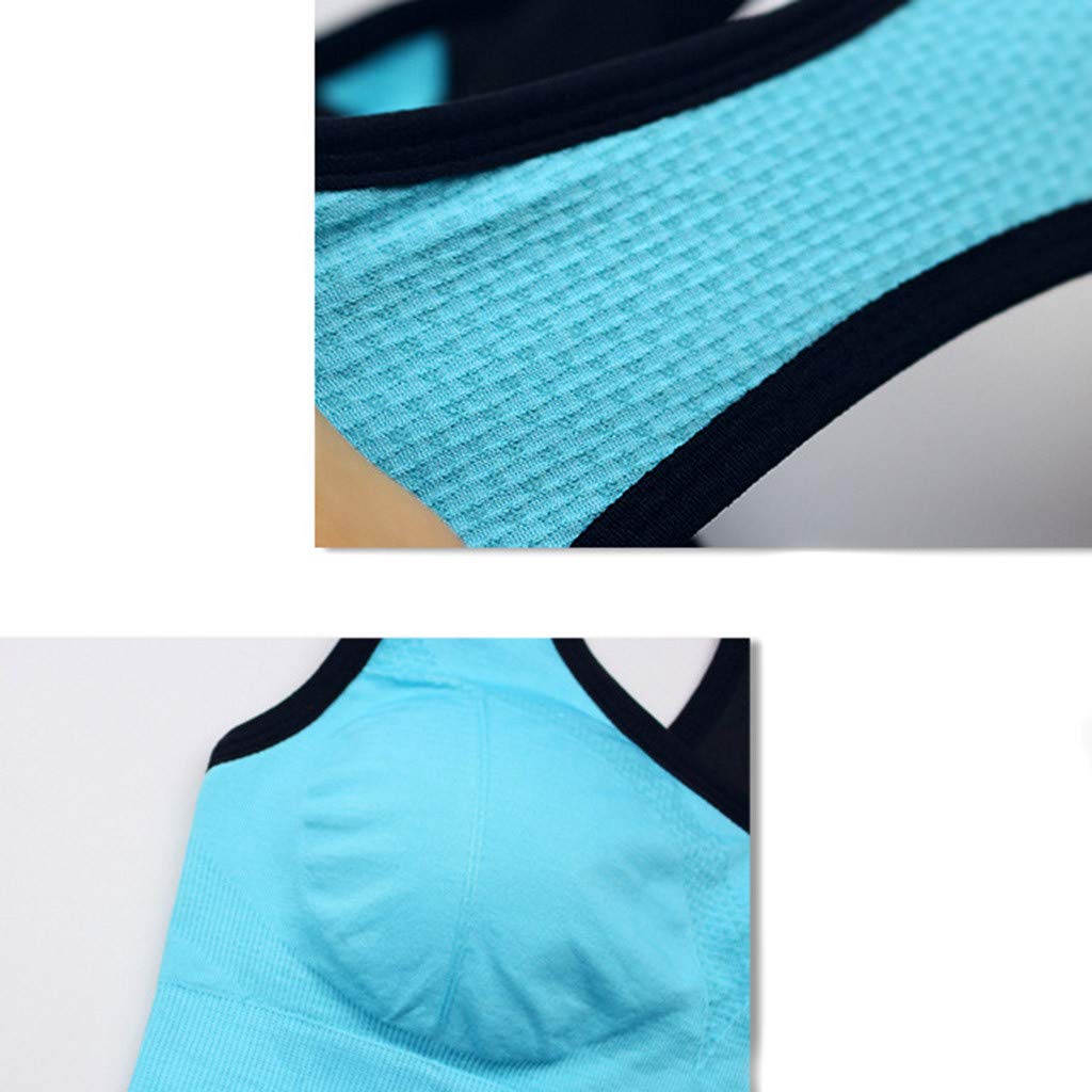 Women's Sexy Sports Bras - Padded Seamless High Impact Support for Yoga, Gym & Workout | Perfect for Fitness, Running & Active Lifestyle
