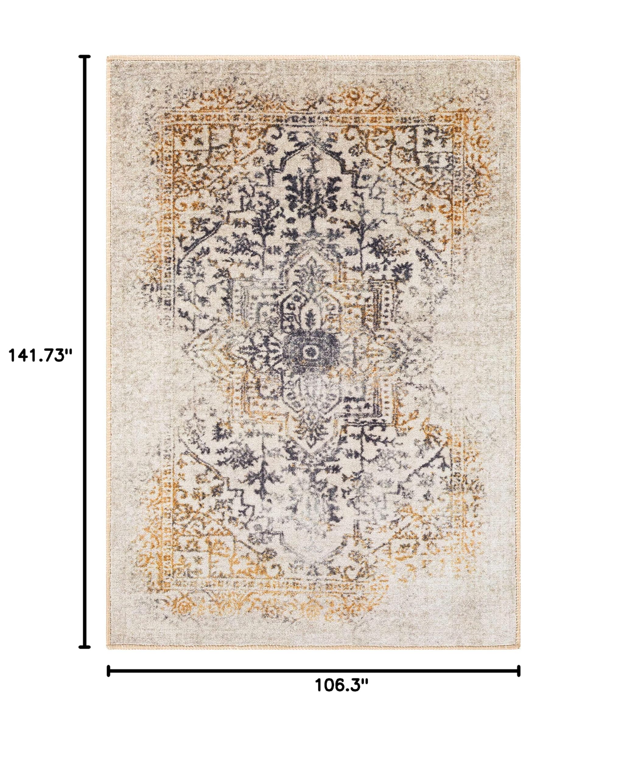 Machine Washable Hauteloom Dordrecht Area Rug for Living Room & Bedroom - Soft & Durable Beige, Black, Red Options - 8'10