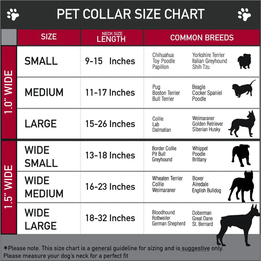 Buckle-Down Seatbelt Buckle Dog Collar - DOGE Pose, Bones & 9 Fun Quote Designs in Purple/Pink - 1 Inch Wide - Adjustable for 11-17 Inch Neck (Medium) - Durable Pet Collar for Small to Medium Dogs - Perfect for Daily Walks, Training & Costume Accessories