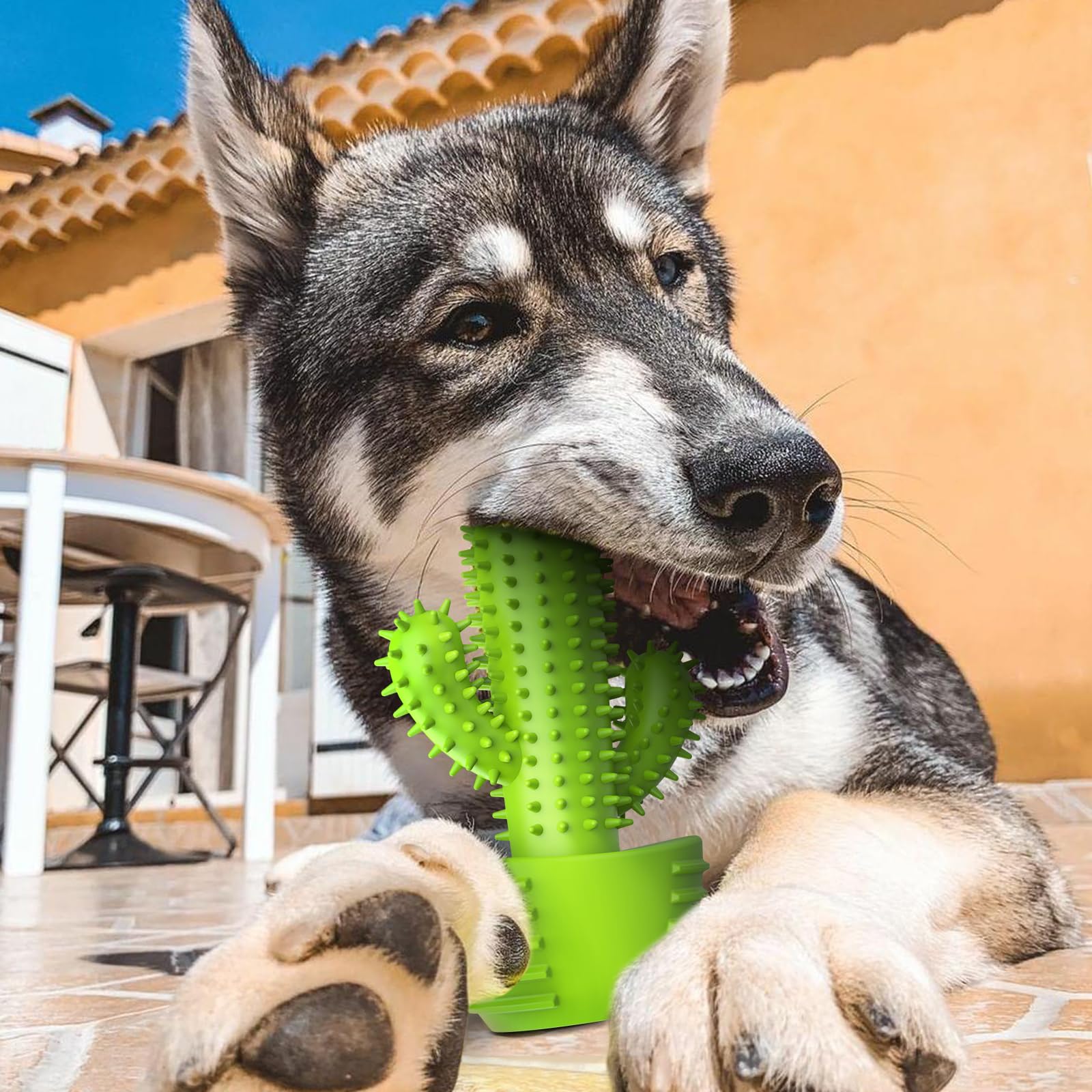 Durable Rubber Dog Chew Toys for Teeth Cleaning - Dental Chew Stick Toothbrush for Small, Medium & Large Dogs - Tough Squeaky Cactus Toy for Aggressive Chewers | Perfect for Puppy Teething, Dental Care & Playtime