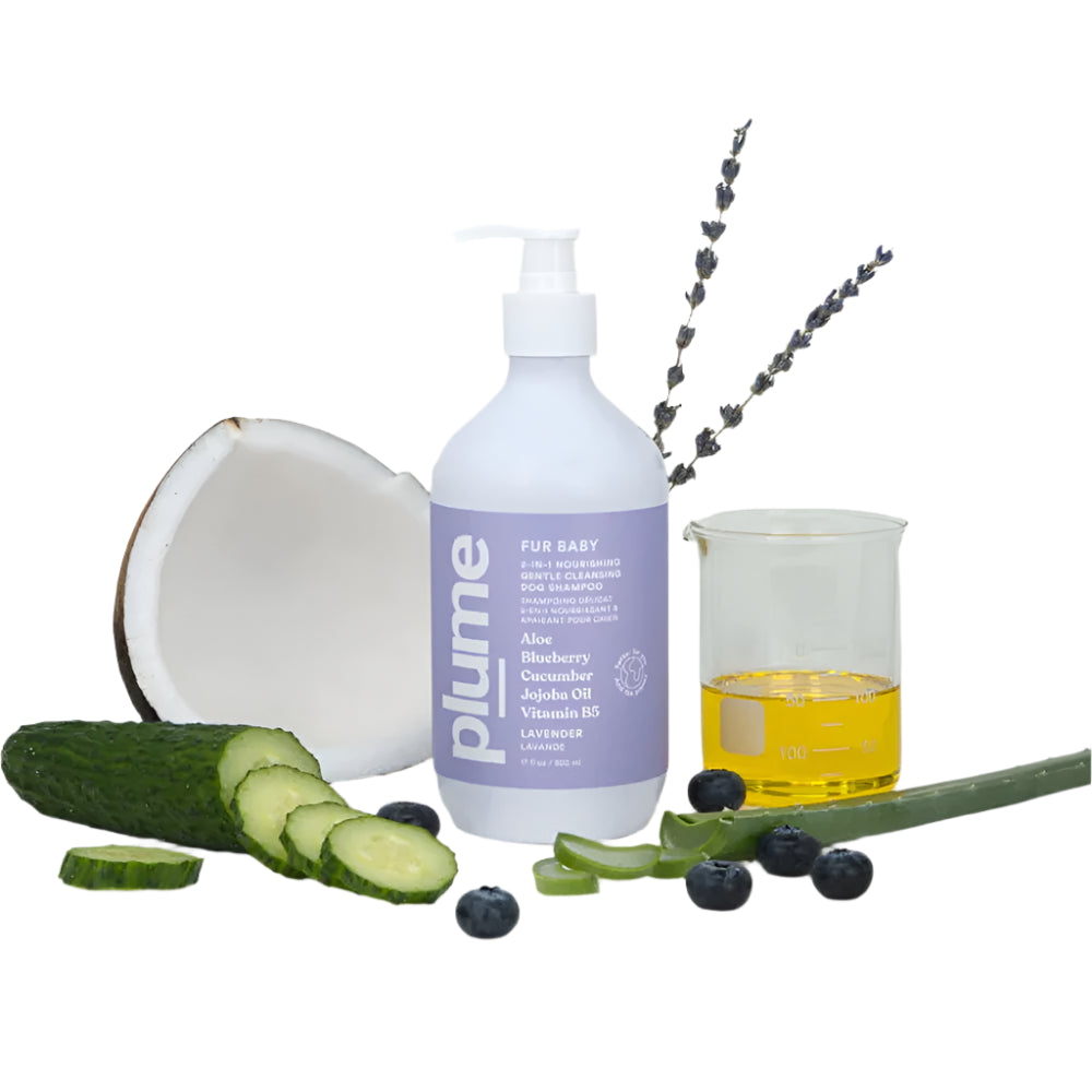 2 in 1 Nourishing Gentle Shampoo for Dogs & Cats - Hypoallergenic Pet Shampoo with Aloe Vera & Oatmeal - Perfect for Bathing, Grooming & Sensitive Skin Care at Home
