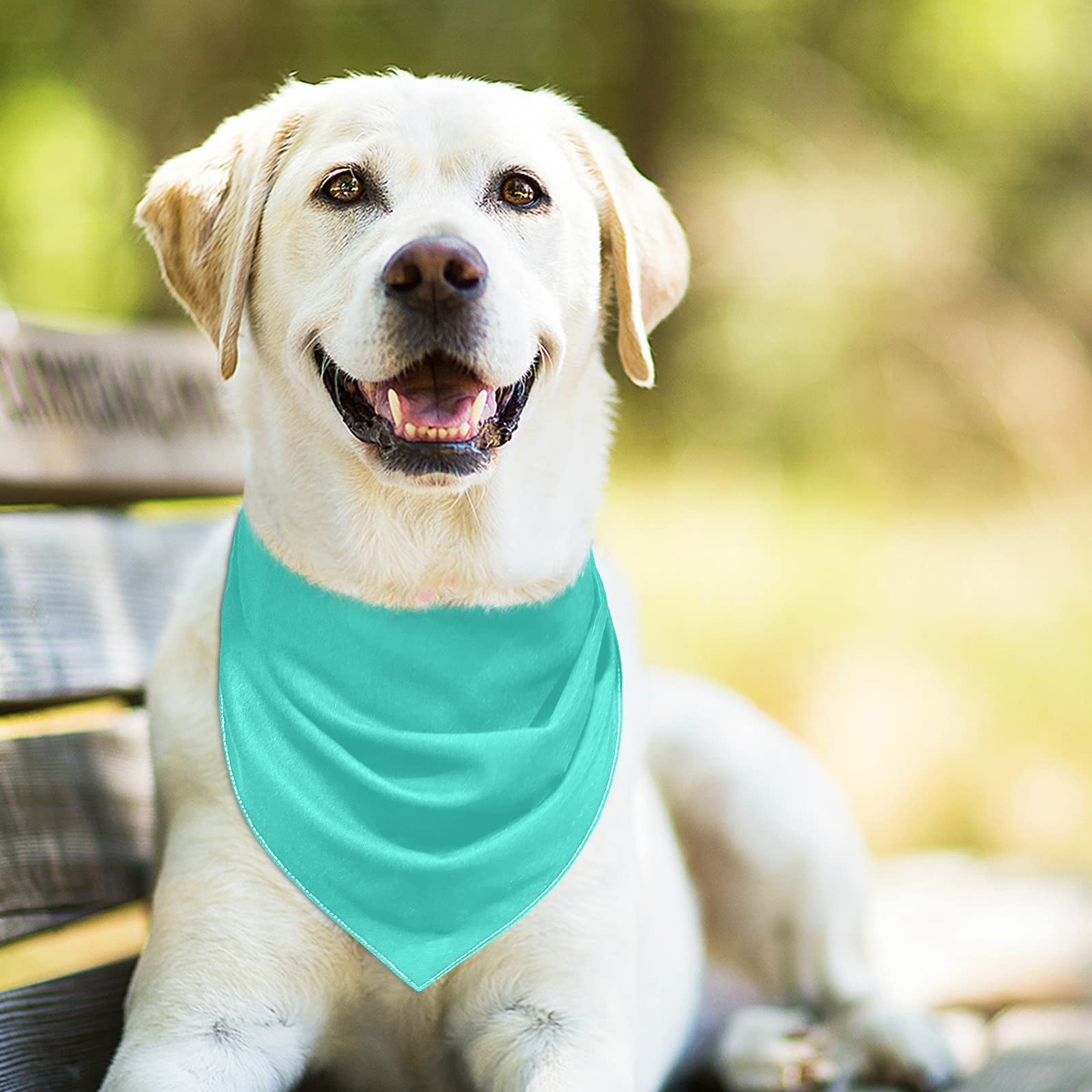 2 Pack Teal Milk Silk Dog Bandanas with Snap Button - Adjustable Pet Scarf & Triangle Bibs for Small to Large Dogs & Cats - Holiday Pet Accessories & Decor for Christmas, Halloween, Birthday Parties