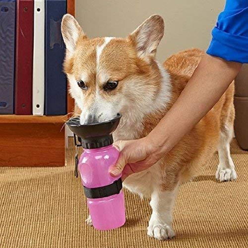 GLIVE BPA-Free Portable Dog Water Bottle - Leak-Proof Travel Water Feeder & Drinking Cup for Pets | Perfect for Hiking, Walking, and Outdoor Adventures