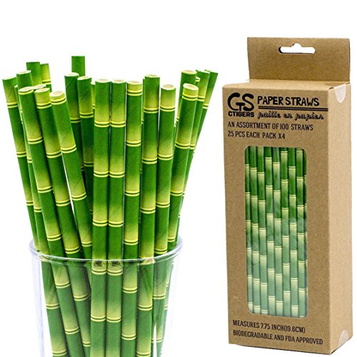 Bamboo