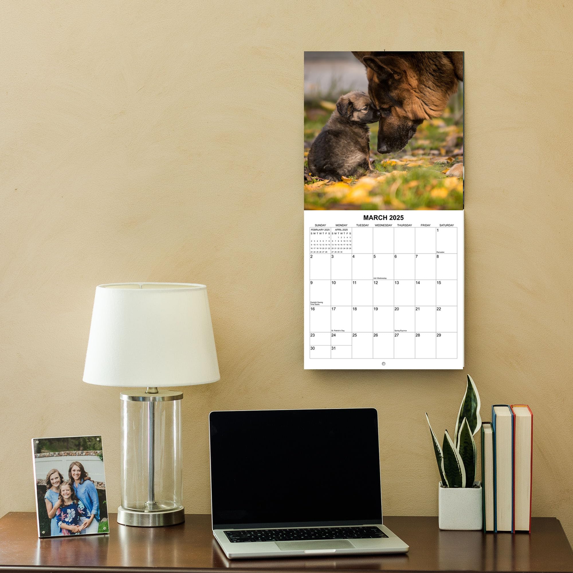 2025 German Shepherds Monthly Wall Calendar | 12