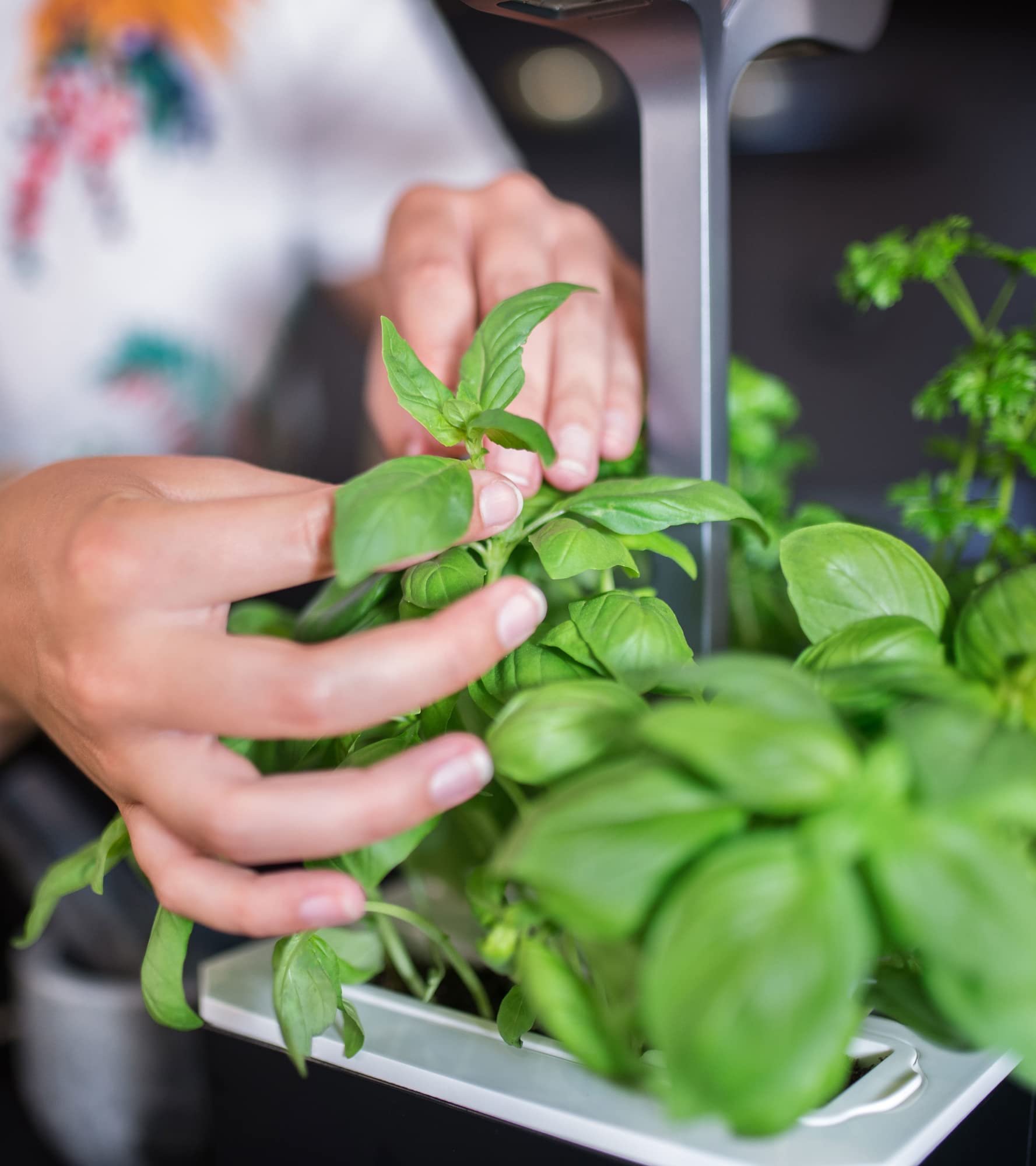 Veritable Smart Indoor Garden - Hydroponic Herb Grow Kit with LED Lights for Fresh Herbs Year-Round | Perfect for Kitchen Countertops, Small Apartments & Urban Gardening