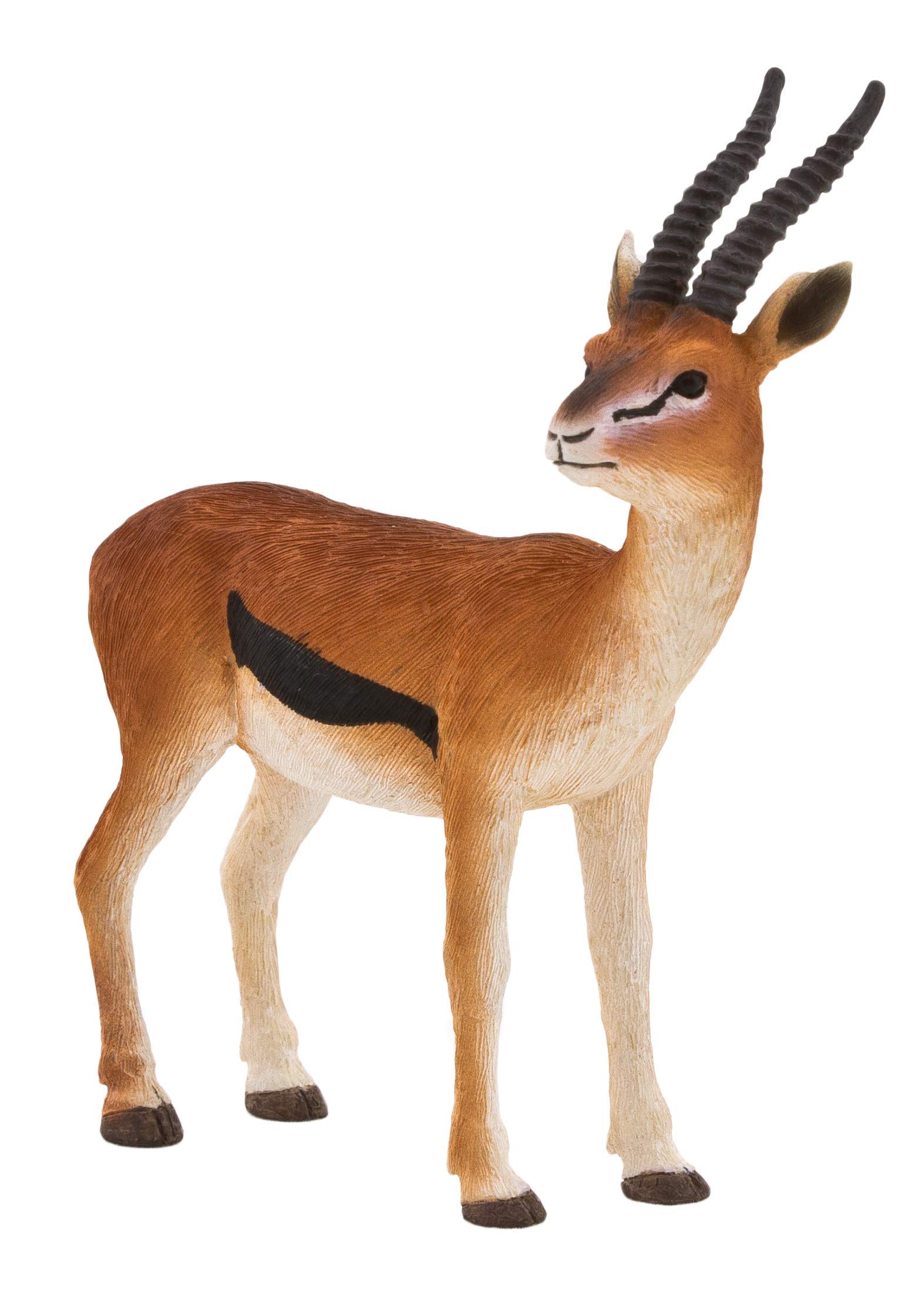 MOJO Thomson Gazelle (Male) Realistic Animal Toy Figure - Perfect for Safari Playsets, Educational Wildlife Collections & Kids Nature Exploration