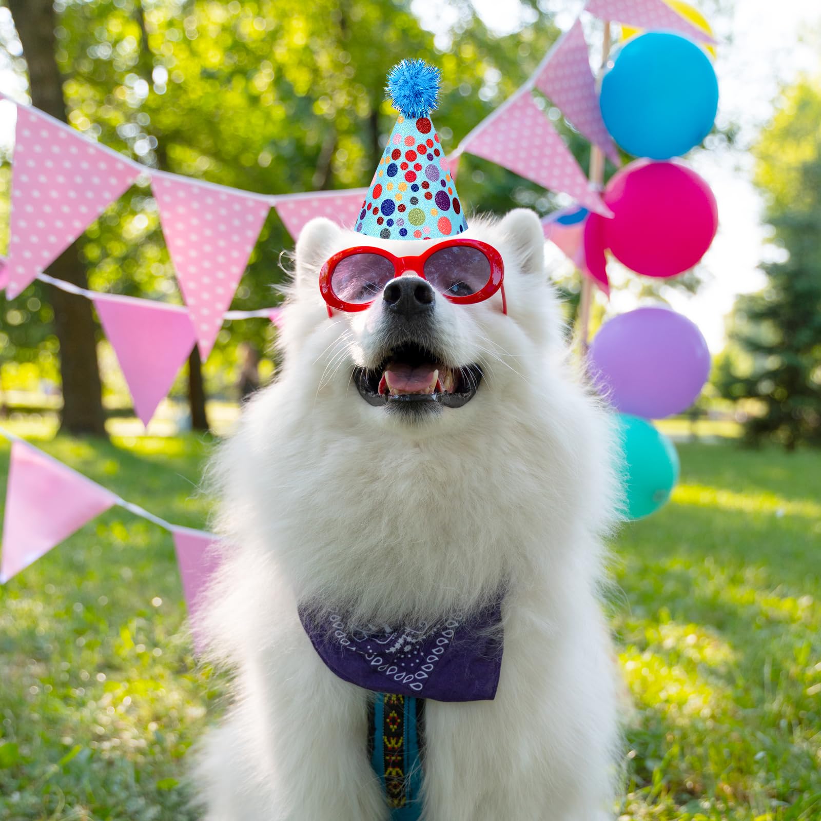 6 Pack Rainbow Pet Birthday Hats - Adjustable Puppy & Kitten Party Hats with Pompoms for Dogs, Cats & Stuffed Animals | Perfect for Pet Birthday Parties, Photo Shoots & Costume Events