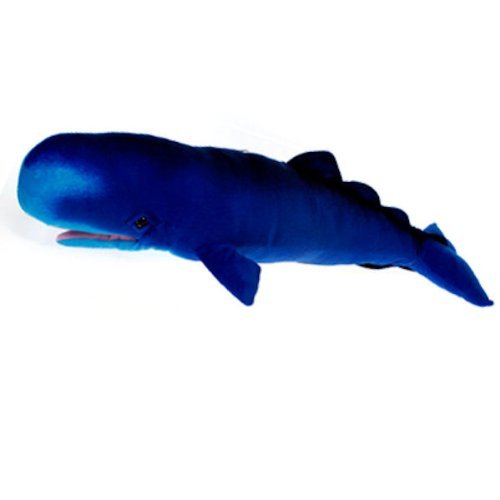 **Fiesta Toys 31