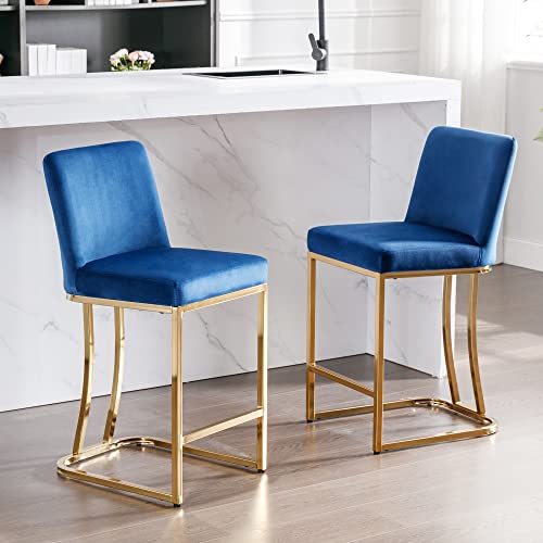 24inch Counter Height-royal Blue-velvet