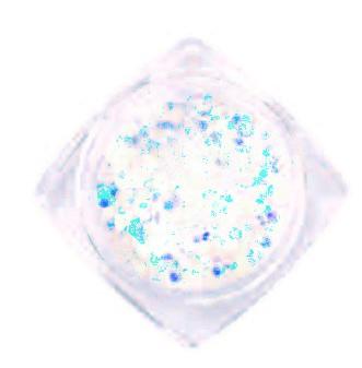 Vibrant Nail Flakes DT04 - Assorted Color Nail Art Glitter for DIY Manicure & Pedicure - Perfect for Parties, Weddings, and Special Occasions
