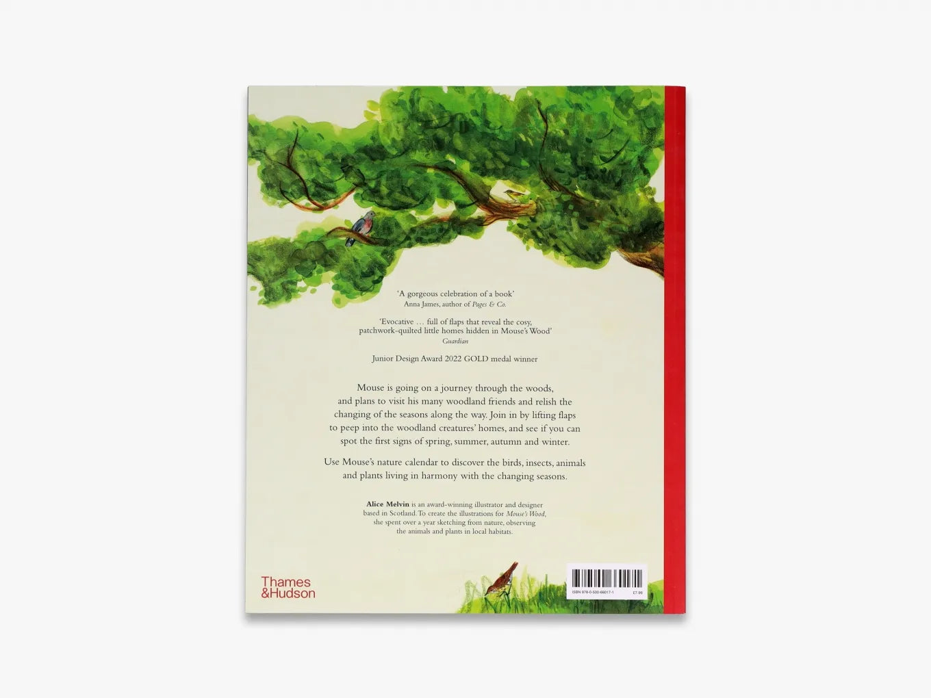 Mouse's Wood - Children's Book Series | Fun & Educational Storytime for Kids | Perfect for Bedtime Reading & Classroom Activities