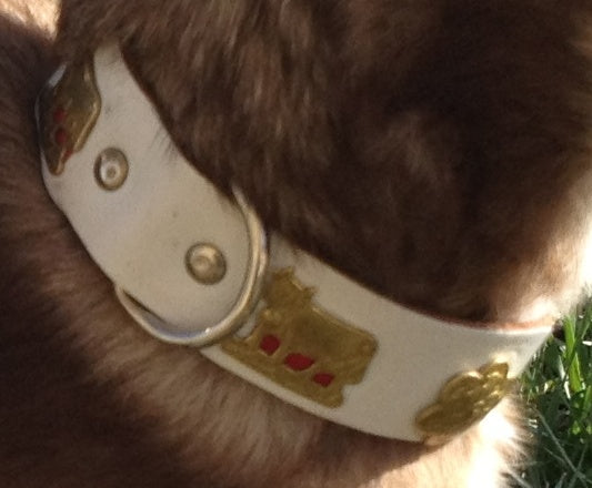 Premium Small Traditional Swiss Dog Collar - Handmade Leather Pet Collar with Embroidery | Durable & Adjustable for Daily Walks, Training & Outdoor Adventures