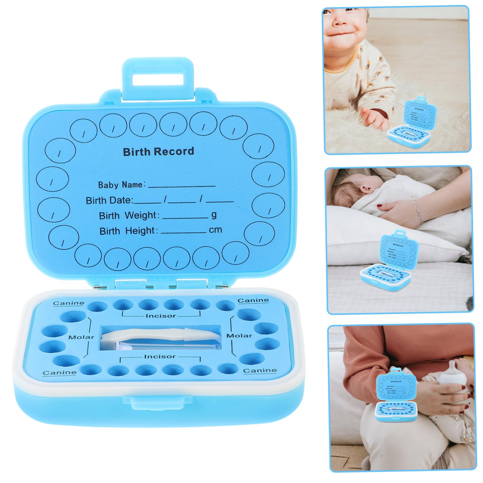 Toyvian Plastic Blue Tooth Storage Box with Box Teeth - Organize & Store Baby Teeth, Dental Collections - Perfect for Keepsakes, Dentist Visits & Memory Preservation