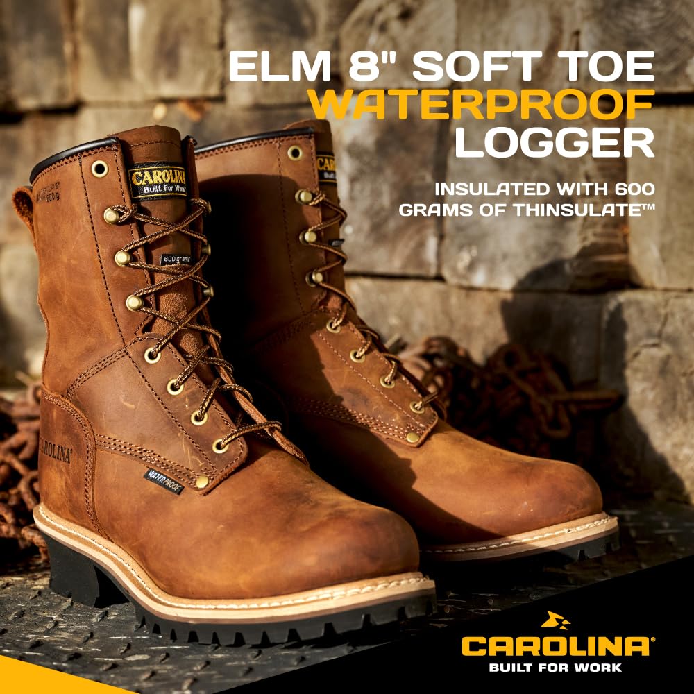 **Men's Carolina Elm 8