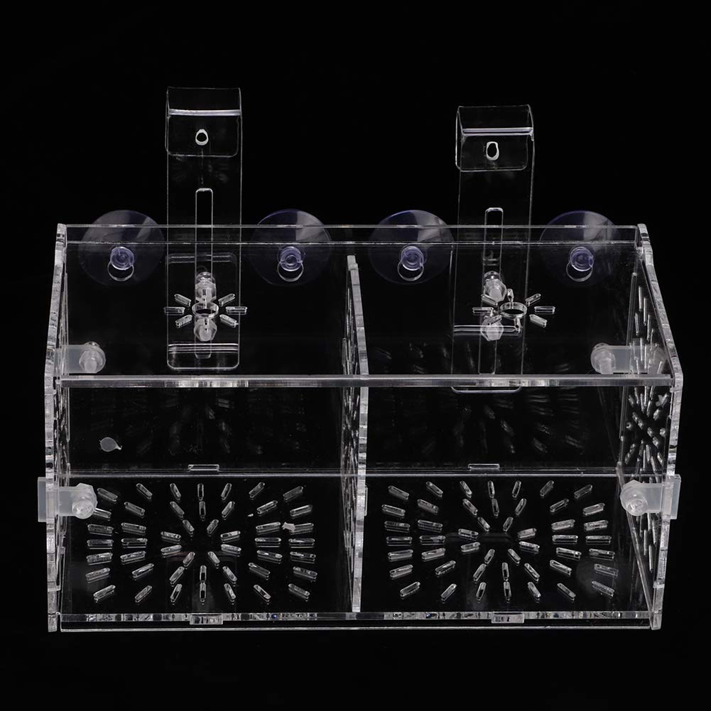 Rosvola Transparent Fish Isolation Box - 20cm x 10cm x 10cm Aquarium Hatchery for Fish Breeding, Egg Incubation & Fry Protection | Perfect for Freshwater & Saltwater Tanks, Hospital Tanks, and Breeding Tanks