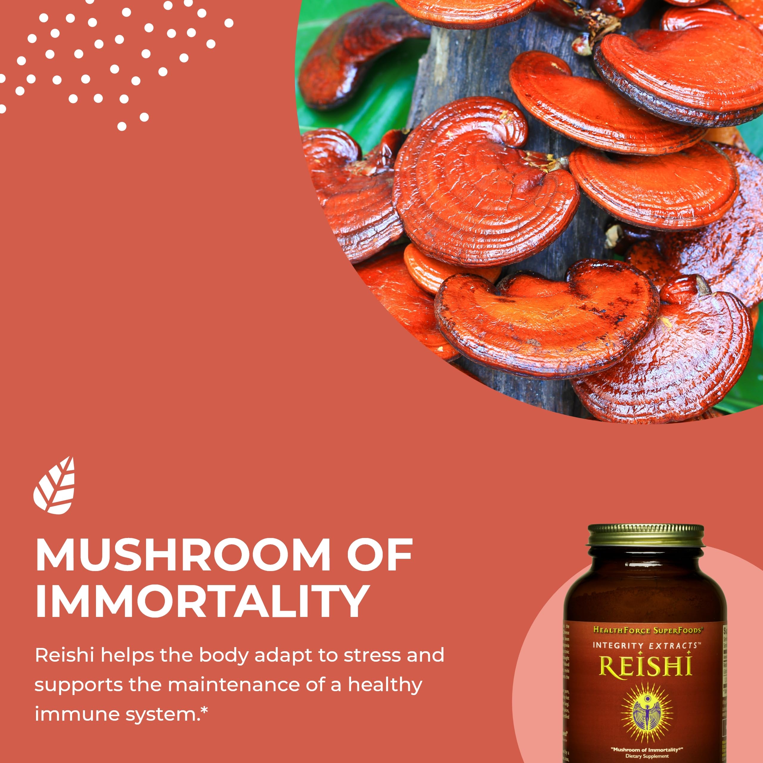 HealthForce SuperFoods Organic Reishi Mushroom Powder - 140g | Immune Support, Stress Relief & Energy Boost | Perfect for Smoothies, Teas & Wellness Drinks