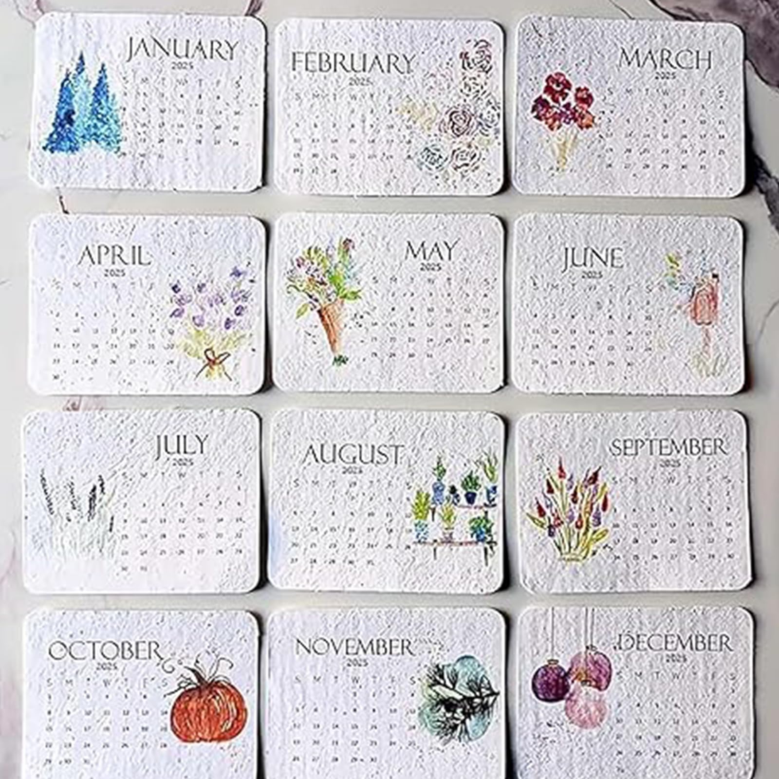 2025 Plantable Seed Calendar - January to December Eco-Friendly Desk Planner with Growable Seeds | Perfect for Home Office, Gardening Gifts & Sustainable Lifestyle