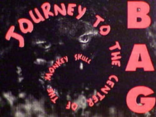 Journey to the Center of the Monkey Skull - Adventure Novel for Teens & Adults - Perfect for Book Clubs, Gifts & Fantasy Readers