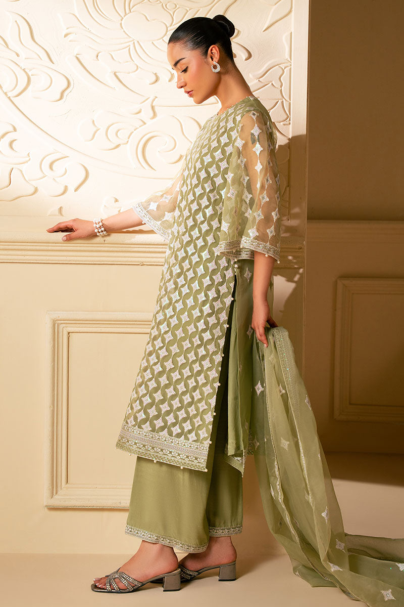Elegant Minted Sage 4-Piece Embroidered Organza Suit Set for Women – Perfect for Weddings, Parties & Special Occasions