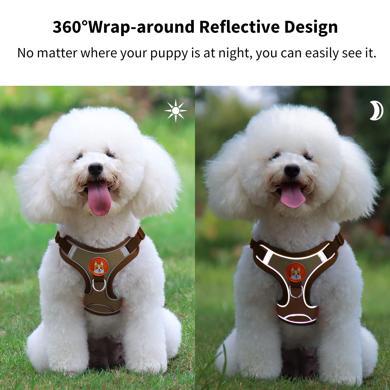 Adjustable No-Pull Reflective Dog Harness & Leash Set for Small to Medium Dogs - Comfortable Puppy Vest with 2 Leash Clips | Perfect for Walking, Training & Nighttime Safety