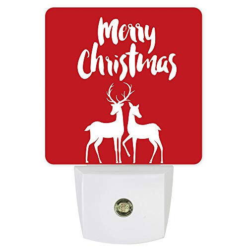 Christmas-304FGE7974