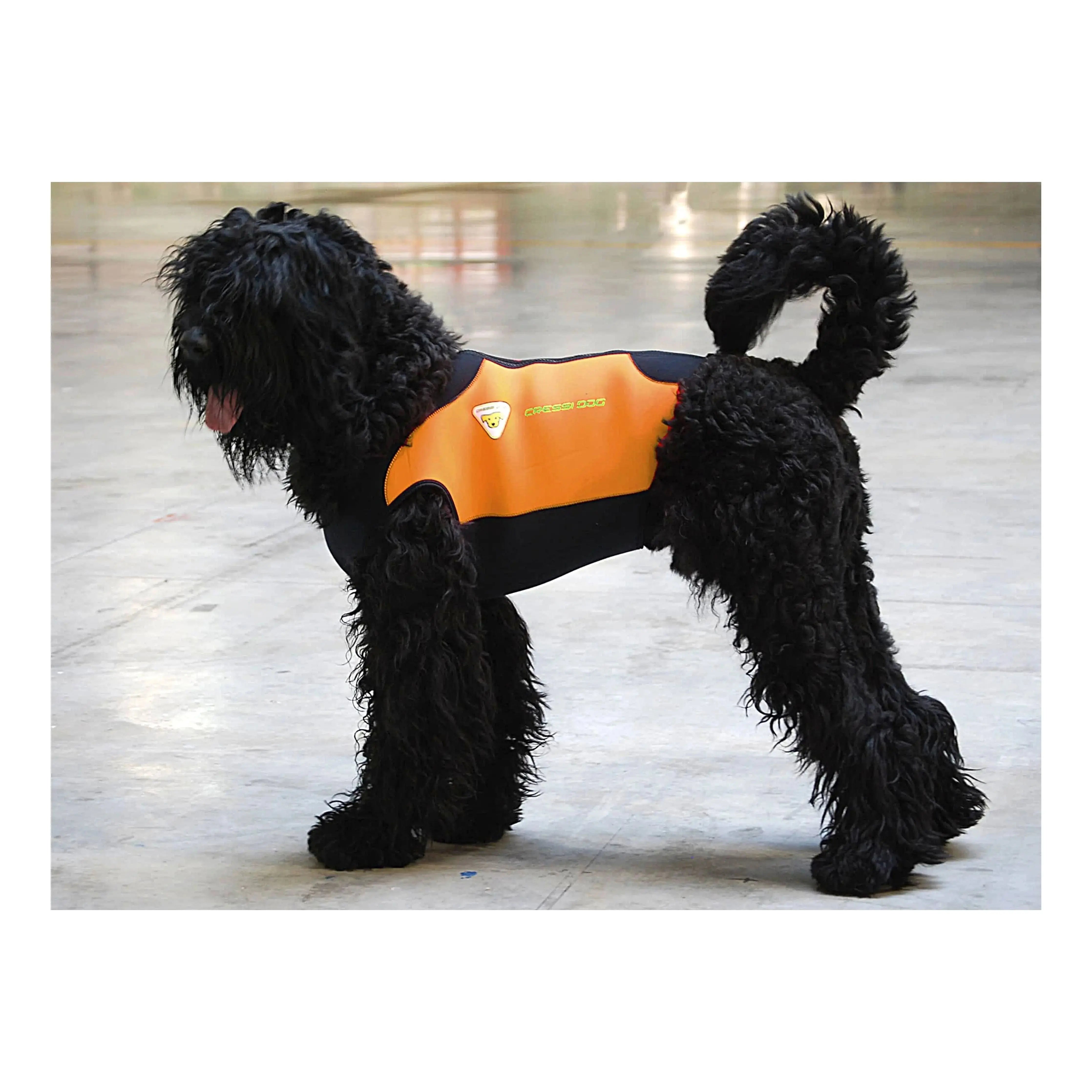 Cressi Dog Wetsuit for Large Breeds - Waterproof & Durable Neoprene Suit for Swimming, Surfing & Outdoor Water Activities