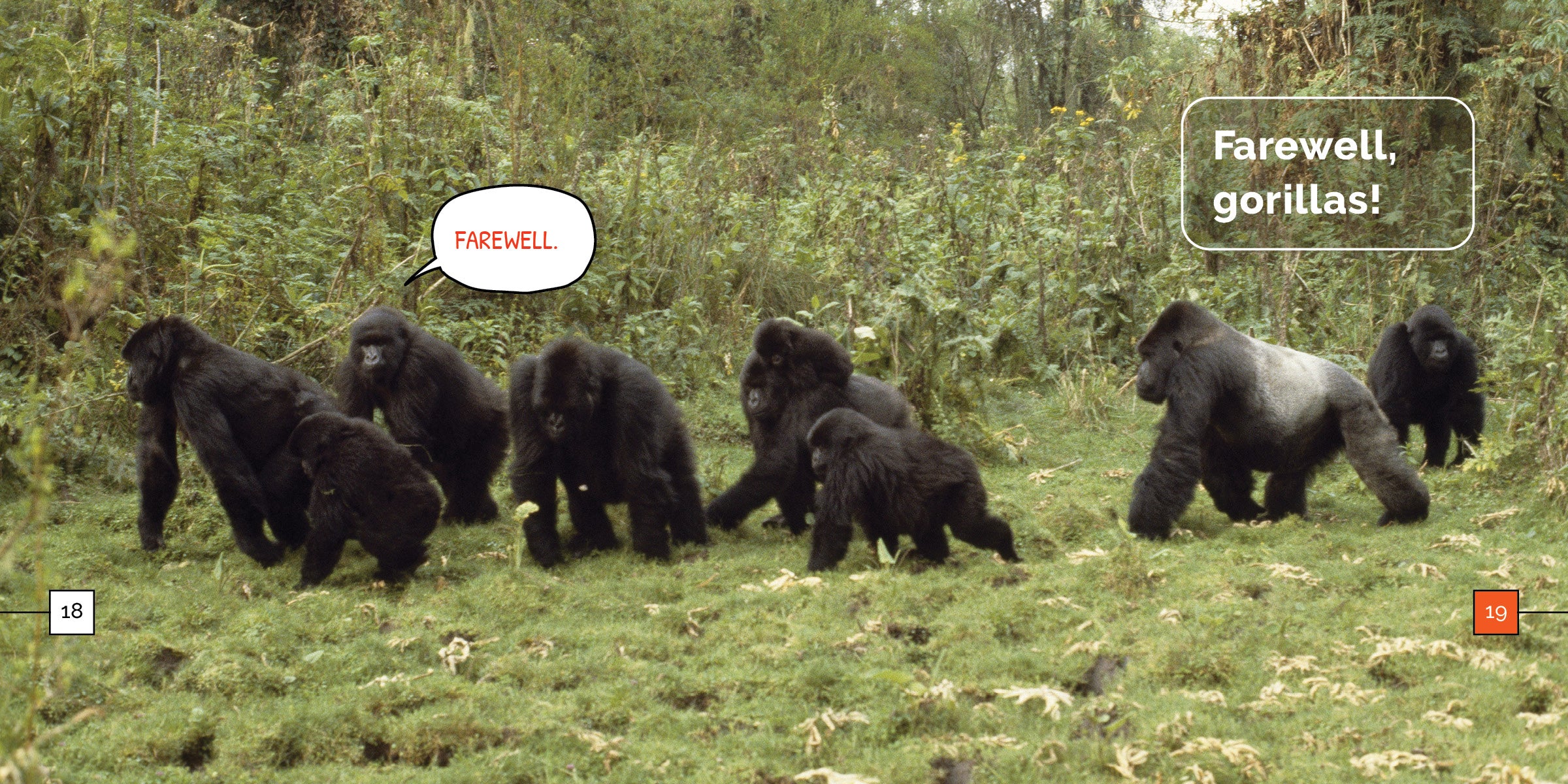 Gorillas Book 9781640268425 - Wildlife Education & Conservation Guide for Animal Lovers & Students