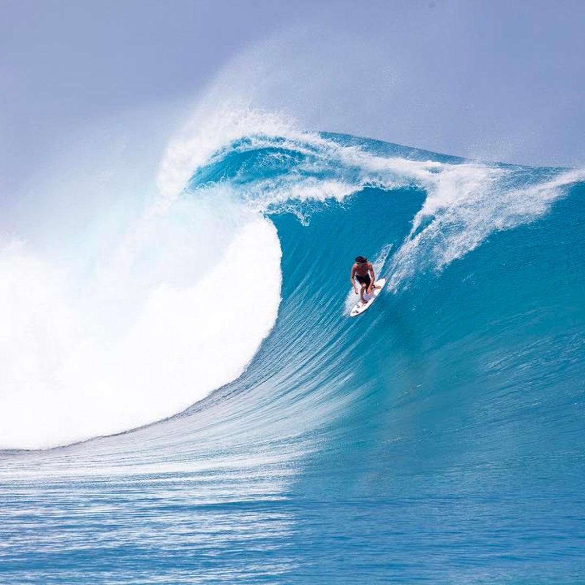 Haydenshapes Hypto Krypto 6'8 Surfboard with 5 Future Fins - Clear Tint | High-Performance Shortboard for Waves & Surfing Adventures