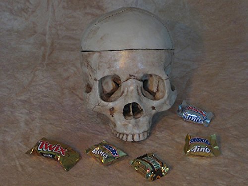 Skull Candy Dish - Premium Ceramic Candy Bowl for Halloween, Parties & Home Decor - Perfect for Candy Storage, Snacks & Treats Display