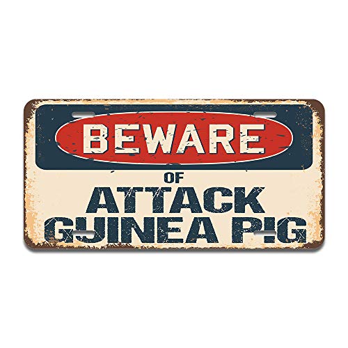 Beware of Attack Guinea Pig