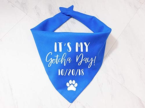 Custom Date Washable Solid Color Pet Bandana - Whoa Dog E It's My Gotcha Day Triangle Bib Scarf for Small Medium Large Dogs & Cats | Perfect for Gotcha Day Celebrations, Pet Photos & Special Occasions