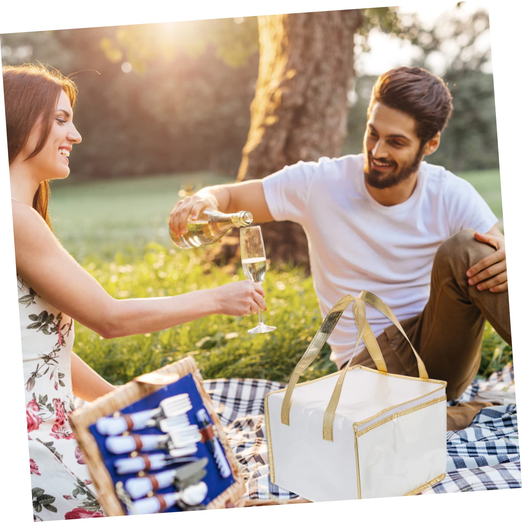 Premium Insulated Food Storage Bag for Seafood & Snacks - Leakproof, Portable Cooler Lunch Bag - Perfect for Picnics, Beach Trips & Outdoor Adventures