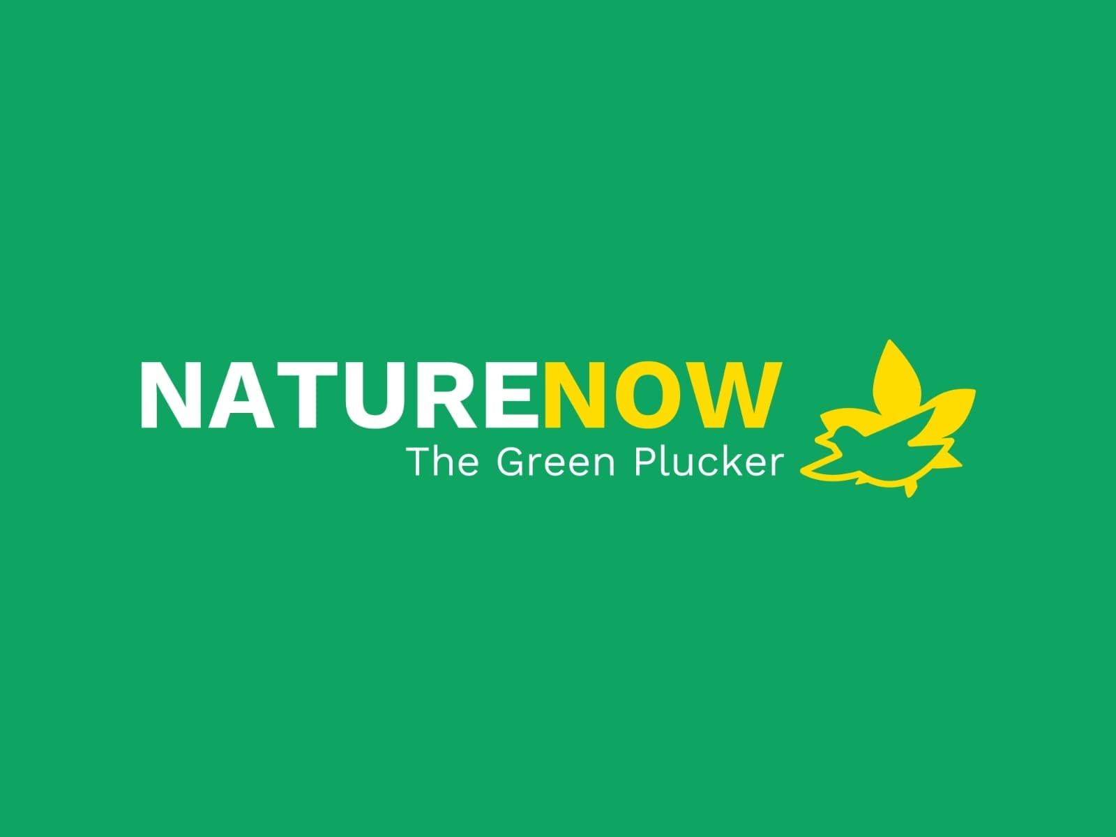 NATURE NOW Herbal Shikai Powder with FREE Loofah - Natural Exfoliating Body Scrub for Smooth & Glowing Skin | Perfect for Spa Day, Post-Workout Refresh & Dry Skin Care